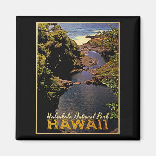 Haleakala nationalpark Hawaii Magnet