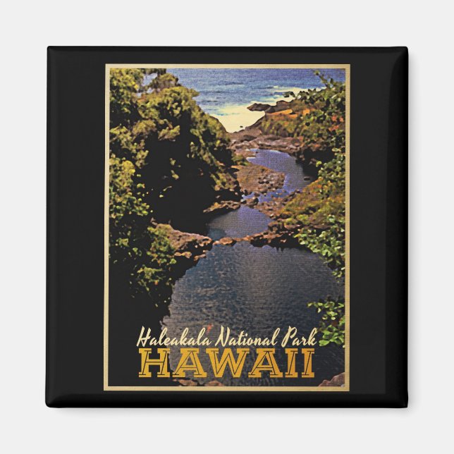 Haleakala nationalpark Hawaii Magnet (Framsidan)