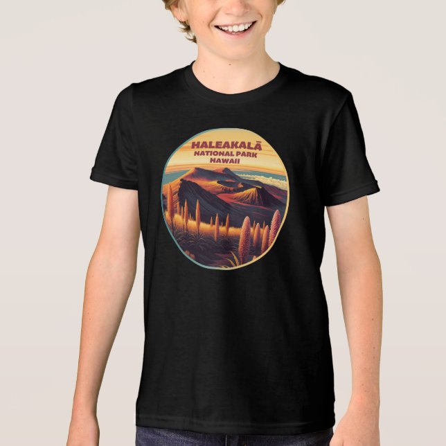 Haleakala nationalpark Hawaii T Shirt (Framsida)