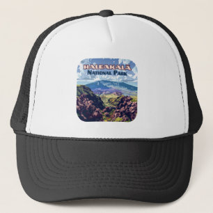 Haleakala nationalpark Maui Volcano Hawaii Keps