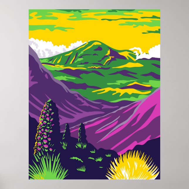 Haleakala nationalpark poster (Framsidan)