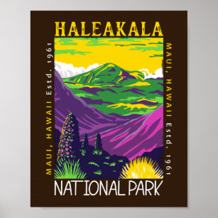 Haleakala nationalparken Hawaii Distress Vintage Poster