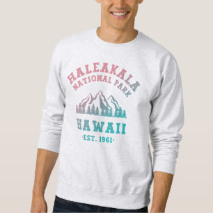 Haleakala nationalparken Hawaii Gradient Lång Ärmad Tröja
