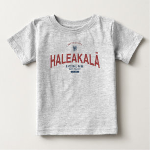 Haleakala nationalparken Hawaii Vacation T Shirt