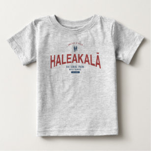 Haleakala nationalparken Hawaii Vacation T Shirt
