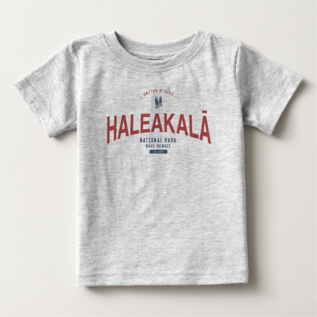 Haleakala nationalparken Hawaii Vacation T Shirt (Framsida)
