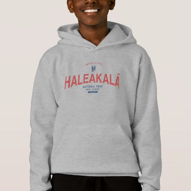 Haleakala nationalparken Hawaii Vacation T Shirt (Framsida)