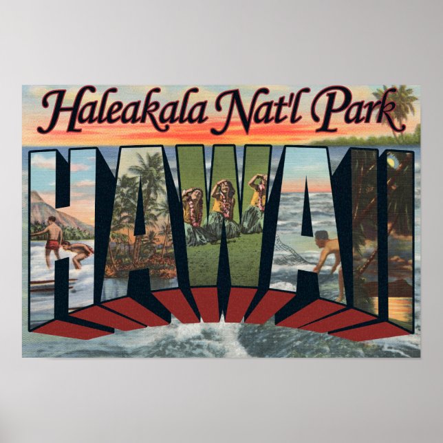 Haleakala Nat'l Park, Hawaii Poster (Framsidan)