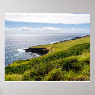 haleokanutsikt och fredligt hav poster