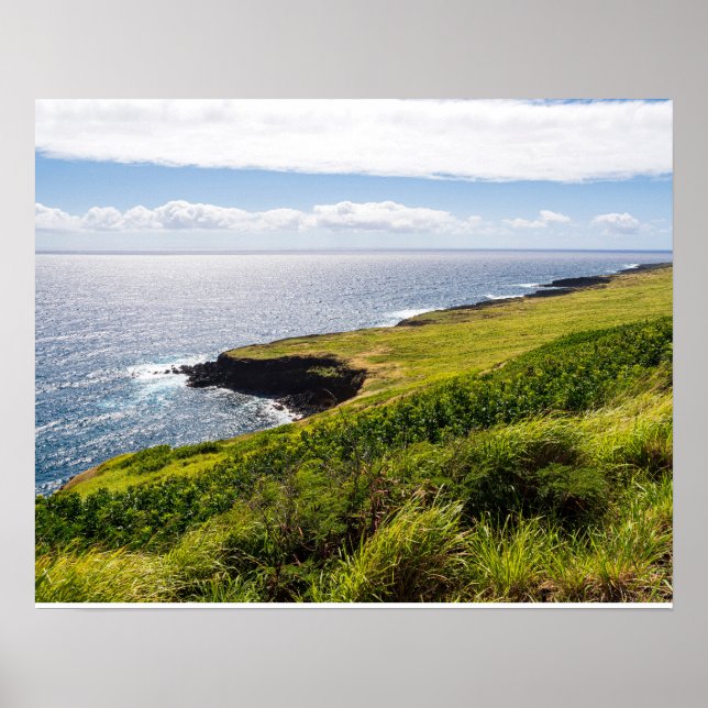 haleokanutsikt och fredligt hav poster (Framsidan)