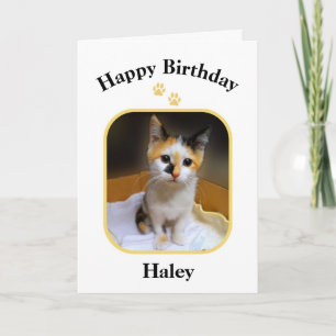 Haley Calico Kattunge Glad Födelsedag Kort