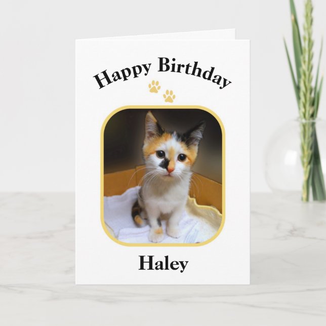 Haley Calico Kattunge Glad Födelsedag Kort (Framsida)