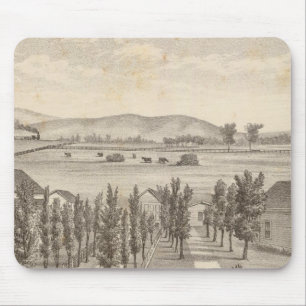 Haley res, farm musmatta