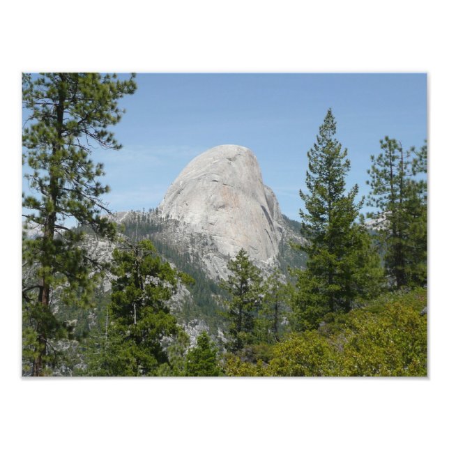 Half Dome från Panorama Trail II Fototryck (Framsidan)
