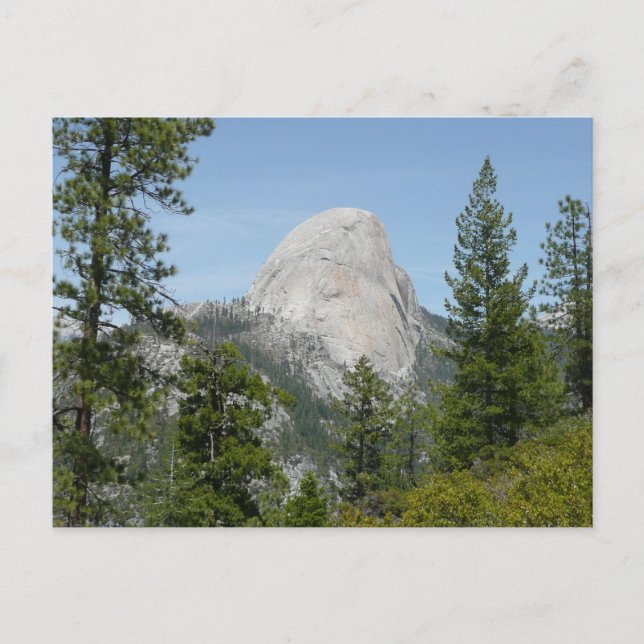 Half Dome från Panorama Trail II Vykort (Framsida)