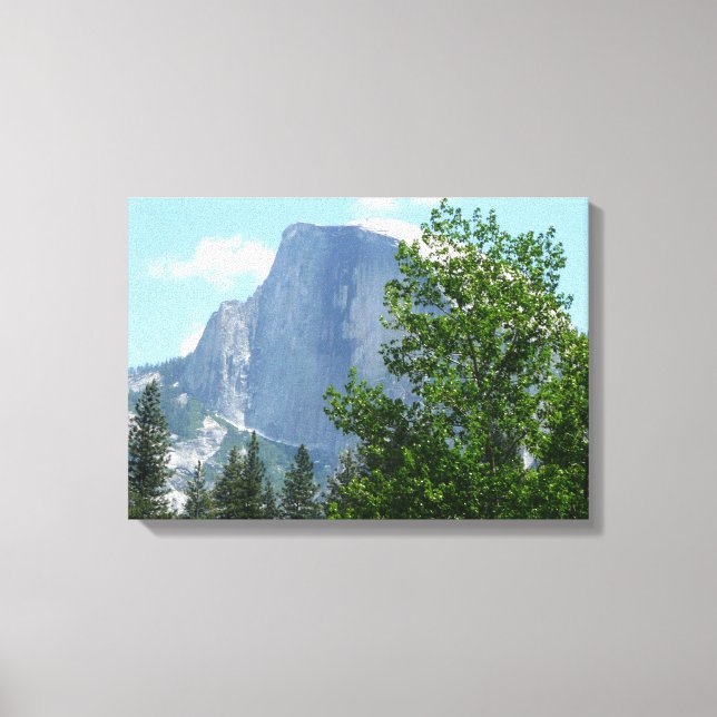 Half Dome sommartid från Yosemite National Park Canvastryck (Framsida)