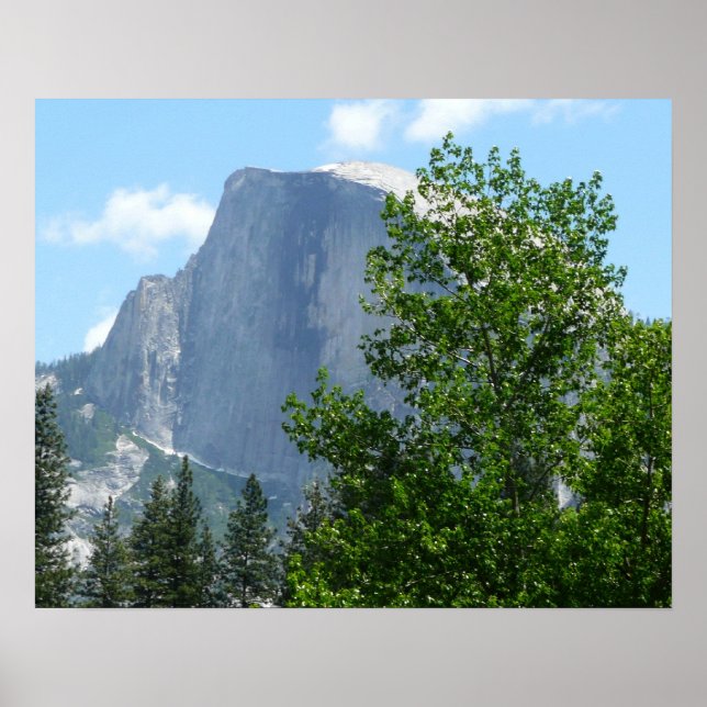 Half Dome sommartid från Yosemite National Park Poster (Framsidan)