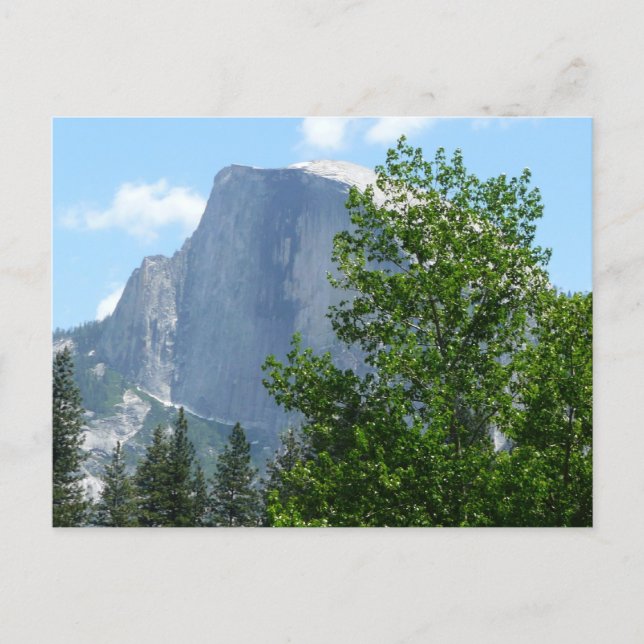 Half Dome sommartid från Yosemite National Park Vykort (Framsida)