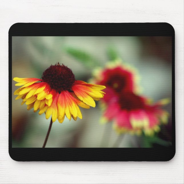 halfdaisy mousepad musmatta (Framsidan)