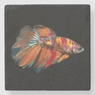 Halfmoon Betta Fish Stenunderlägg