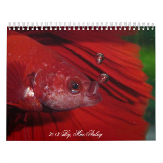 HalfmoonBetta kalender 2013 vid Karen Mac Auley
