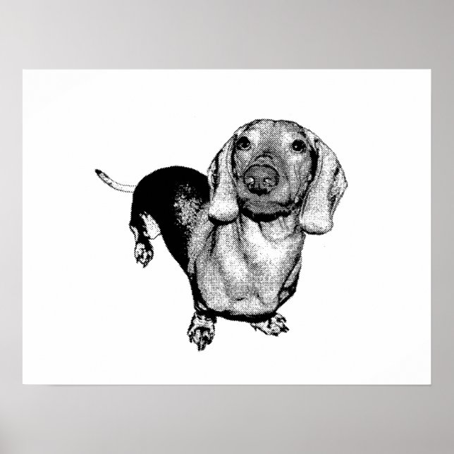 Halftone Black and White Photo Dachsund Doxie Poster (Framsidan)