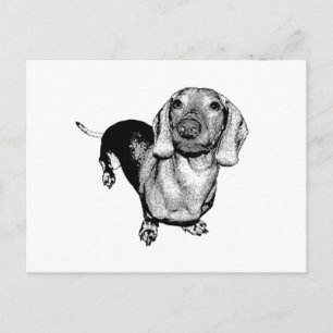 Halftone Black and White Photo Dachsund Doxie Vykort