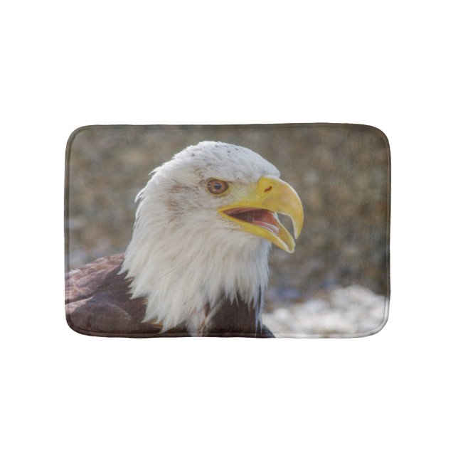 Haliaeetus leucocephalus badrumsmatta (Framsidan)