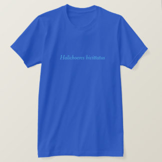 Halichoeres bivittatus tee shirt