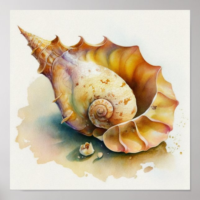 Haliotis conch-snäcka i vattenfärg poster (Framsidan)