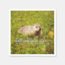 Håll anden av servetter för den Groundhog dagen