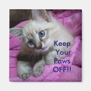 Håll AV dina tassar!! SKÅPMAGNET Magnet