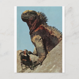 Håll dig fast - vykort