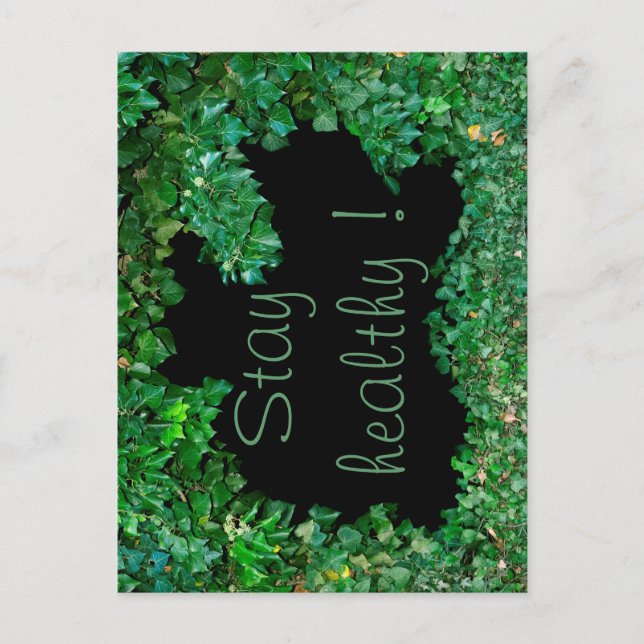 Håll dig frisk med grönt Ivy Vykort (Framsida)