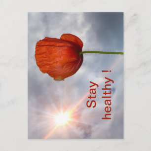 Håll dig frisk med röd blomma vykort