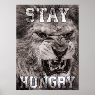 Håll dig Hungrig, Lejon, Hustle, Gym, Framgångsmot Poster