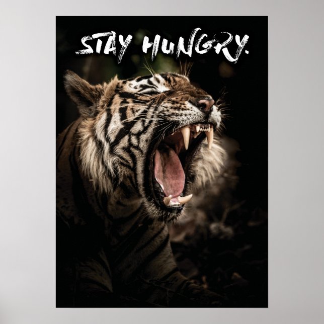 Håll dig Hungrig - Tiger Roing Poster (Framsidan)