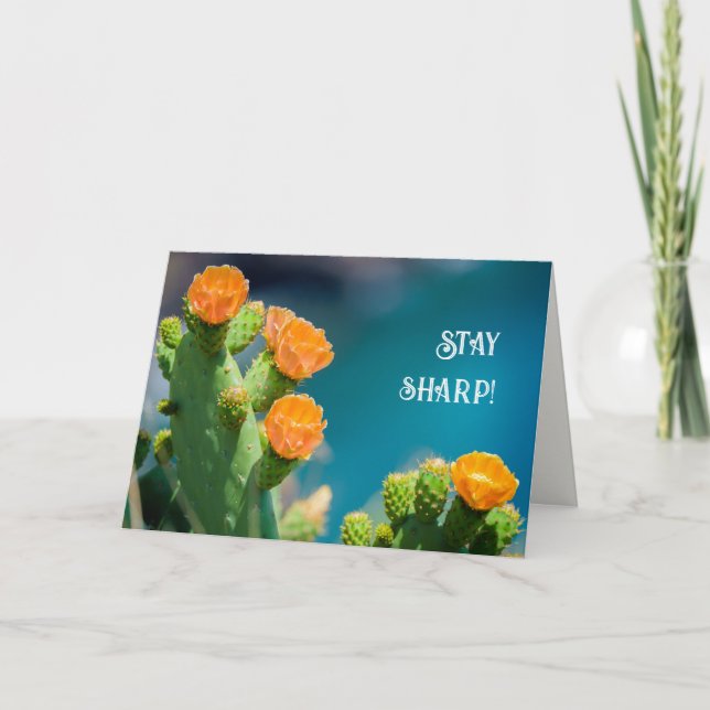 Håll dig skarp - Ljus kaktusblomma foto födelsedag Kort (Framsida)