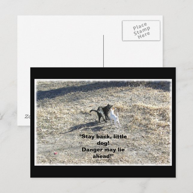 Håll dig undan vykortet för små Hund Vykort (Fram/baksida)