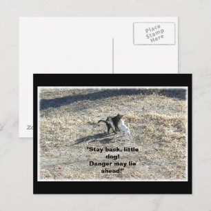 Håll dig undan vykortet för små Hund Vykort