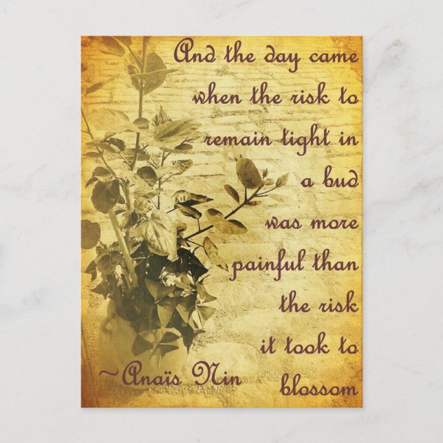 Håll dig uppdaterad i Bud Vykort (Framsida)