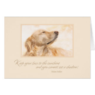 Håll ditt ansikte till solskenet hälsningskort