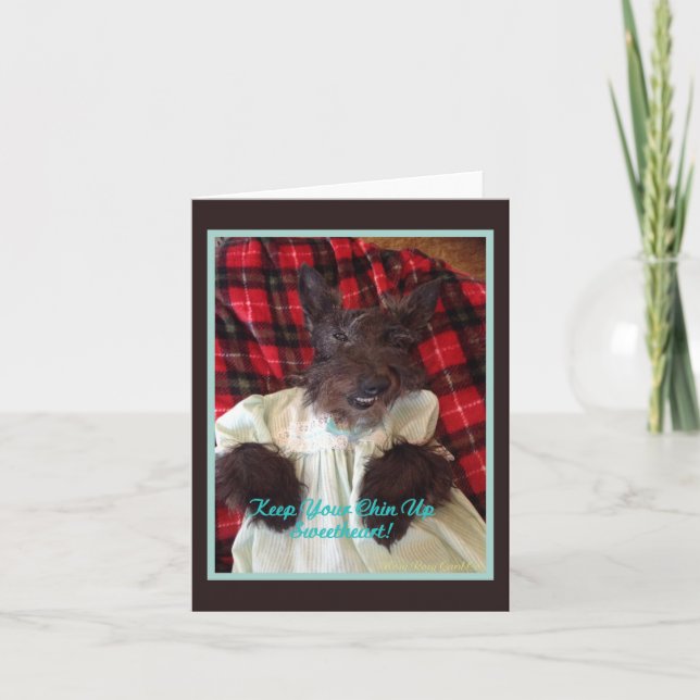 Håll huvudet uppe kort (Framsida)