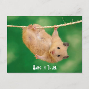 Håll in Hamster Vykort