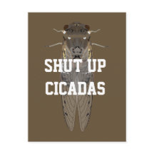 Håll käften Cicadas