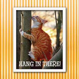 Håll kvar där katt poster