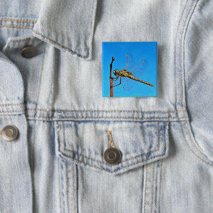 Håll kvar konstnärliga draketer mot Cerulean Blue Knapp