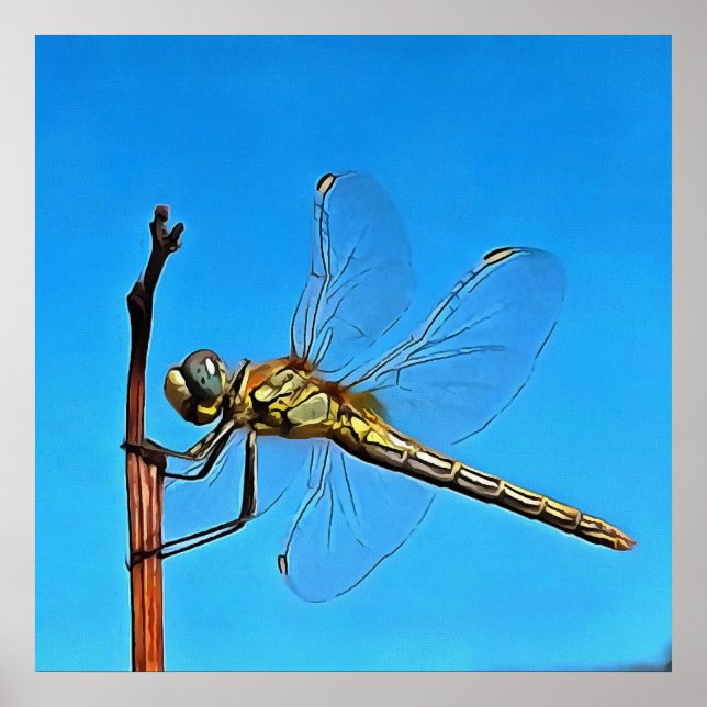 Håll kvar konstnärliga draketer mot Cerulean Blue Poster (Framsidan)