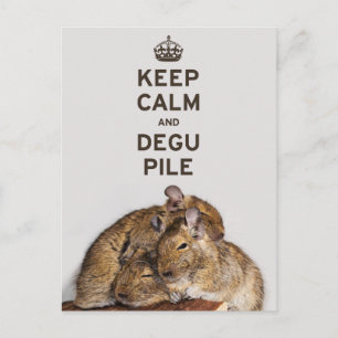 Håll lugn och degu hög vykort