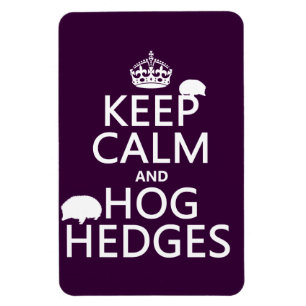 Håll lugn och Hog häckar (igelkottar) (alla Magnet